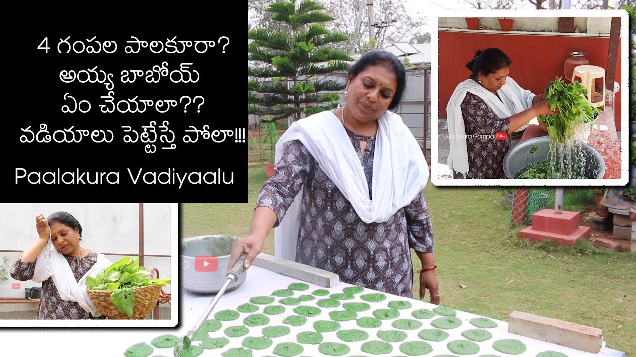 My Food My Lifestyle – Healthy and Nutritious / Paalakura Vadiyaalu / Paalak / Spinach Snack My Food My Lifestyle - Healthy and Nutritious / Paalakura Vadiyaalu / Paalak / Spinach Snack