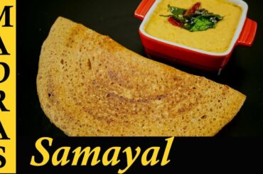 Healthy Dosa Recipe in Tamil | Paruppu Dosa Recipe in Tamil | Dosai and Red Coconut Chutney in Tamil