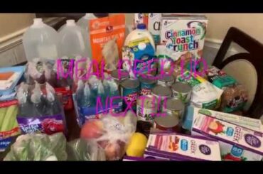 HEALTHY GROCERY HAUL FOR ONLY $100 + MEAL PREP WITH ME!!!