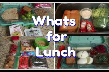 Lunch Inspiration for Everyone!