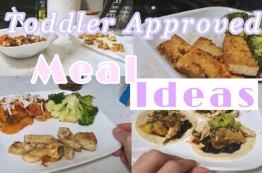 Toddler Approved Meals! | Easy & Quick-Breakfast, Lunch & Dinner Ideas! | Healthy Meals 2020