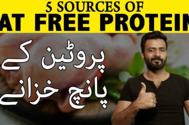 5 Sources of Lean Protein for Weight Loss