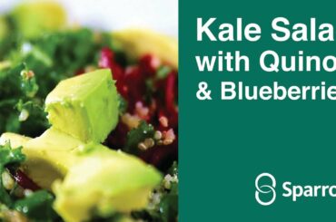 Sparrow Healthy Bites - Kale Salad with Quinoa & Blueberries