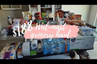 large Wal-mart grocery haul / 10 Dinner ideas , snacks and toiletries!