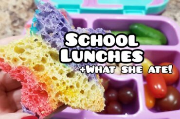 Bento styled kid school lunches - Bella Boo's Lunches