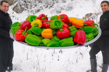 Healthy omelette recipes with vegetables || Wilderness Cooking || Breakfast recipes with eggs