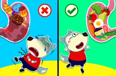 Baby Wolf Rescues Talking Stomach and Learn Healthy Food for Kids | Wolfoo Channel