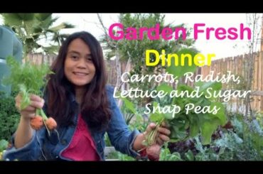 Home Garden Harvest - Lettuce, Carrots, Radish and Sugar Snap Peas for a Healthy Weeknight Dinner