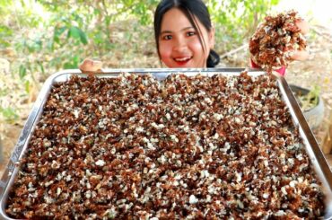 Red Ant Salad Recipe   Cooking Ants   My Food My Lifestyle