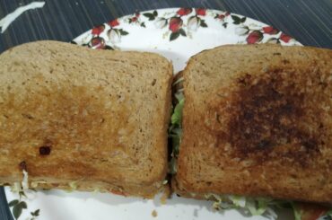 Easy veggie sandwich recipes | Easy vegetarian sandwiches recipes Bottle Gourd vegetarian sandwiches