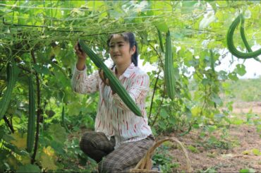 Sponge Gourd Recipe / Make Healthy Food With Sponge Gourd / Prepare By Countryside Life TV.