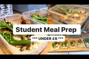 STUDENT MEAL PREP | Cheap & healthy meals for UNDER £10
