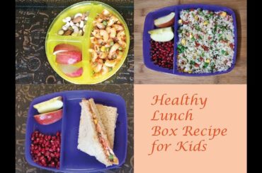 HEALTHY LUNCH BOX RECIPE FOR KIDS ||  VEG TIFFIN BOX || INDIAN  LUNCH BOX IDEAS