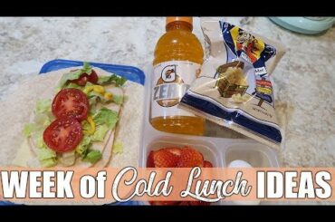 Cold Lunch Ideas for Work or School | On the Go Lunches | March 2020