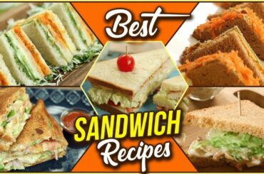 BEST Sandwich Recipes In Hindi - Quick & Easy To Make Sandwich Recipes - Street Food - Swaad Anusaar