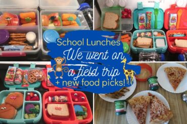 School Lunch Ideas! 🍓