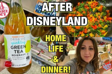Life After a Day at Disneyland! Leaving the Park, Trader Joe’s & a Healthy Dinner Recipe! Home Video
