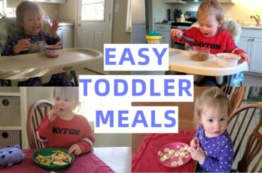 WHAT MY TODDLER EATS IN A DAY | EASY, HEALTHY, BUDGET TODDLER MEAL IDEAS | TODDLER MEALS & SNACKS