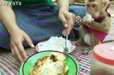 Princess YaYa Enjoys Omelet Rice With Mom For Breakfast, Cute Eating YaYa