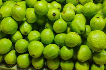 Very Healthy Masala Guava | Fresh Green Guava | Indian Street food