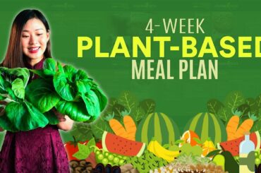 FREE 4-Week PLANT BASED Meal Plan & Recipes | Joanna Soh