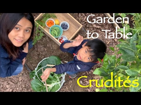 Crudités from the Garden | Harvest and Garden Tour | Gardening in Los Angeles | Urban Gardening Crudités from the Garden | Harvest and Garden Tour | Gardening in Los Angeles | Urban Gardening