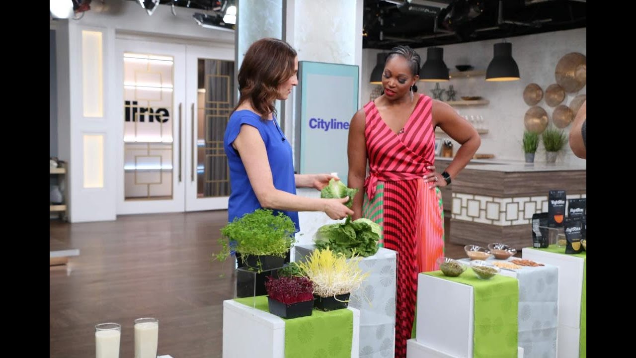 5 healthy alternatives to your favourite staple foods 5 healthy alternatives to your favourite staple foods