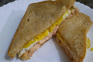 Chicken and Egg Sandwich | Quick Kids Lunch Box Idea | AN's Cooking Fiesta