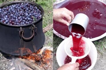 HEALTHY AND ORGANIC PLUM FRUIT JUICE TO DRINK (Natural Energy Drinks Recipes)