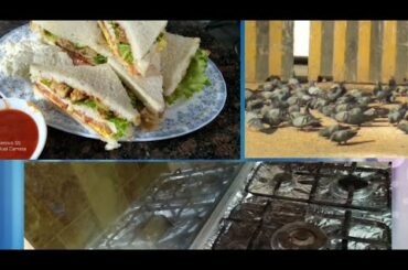 Chicken Tikka Sandwich With Cabbage salad|Kids Lunch Box snack Recipe| Cooking with Uzma