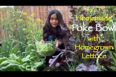 Homemade Poke Bowl with Homegrown Lettuce | Fresh from the Backyard Garden | Weeknight Dinner