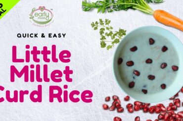 Little Millet Curd Rice | Healthy Kid's meal & Lunch Box Recipe | Early Foods