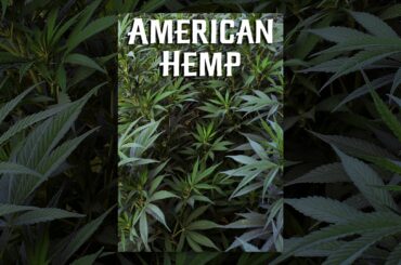 American Hemp