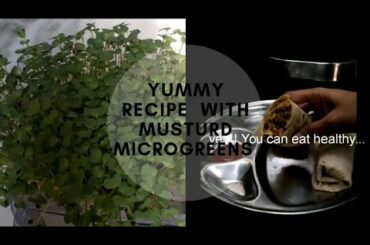 Musturd  microgreens recipe/A healthy  breakfast recipe, this is how we can give good food to kids