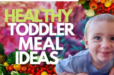 What My Toddler Eats In A Day - Healthy Meal Ideas For One Year Olds - Gluten Free Dairy Free