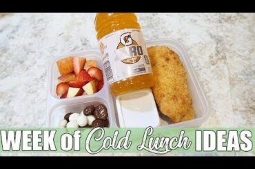 Cold Lunch Ideas for Work or School | March 2020