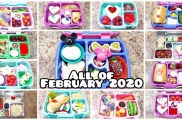 15 kid lunches PLUS what she ate from February - Bella Boo's Lunches