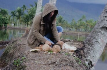 Healthy Ice-cream Recipe, natural style - Dairy Free | coconut recipe