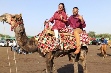 Surat Vlogs|Hubby పాట పాడారు😁|మీరు ఎప్పుడైనా చూశారా|Camel Riding|Healthy Breakfast|Dumas Beach|