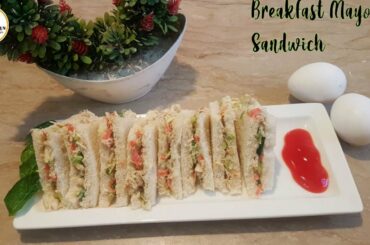 Mayonese Sandwich/BreakFast Sandwich/Lunch Box Sandwich recipe(Daily kitchen with iqra)