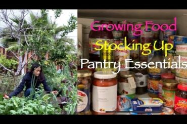 Growing Food | Panic Buying | Groceries from Filipino Market | Pantry Essentials | Garden Tour