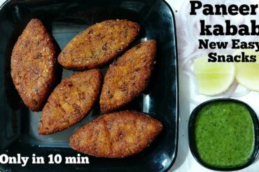 paneer kabab|easy snacks recipe|evening snacks|new recipe 2020|dinner recipes|snacks|paneer recipes