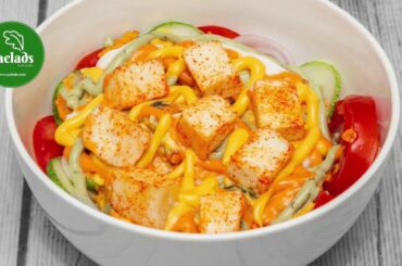 Fresh Healthy Salads