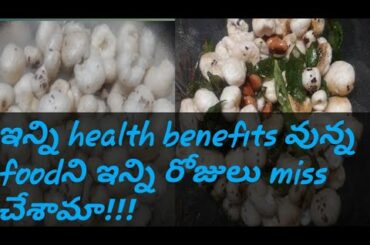 Phool Makhana snack👌//lotus seed benefits//healthy Snack recipe.