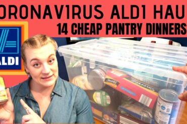 CORONAVIRUS ALDI HAUL! 14 BUDGET PANTRY DINNERS TO PREP FOR QUARANTINE!