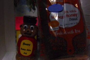 DIY Toilet Paper, Day 6, Healthy Bread, Beary Boomer