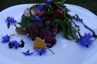 salad with borage flowers and rocket vegetarian family diary