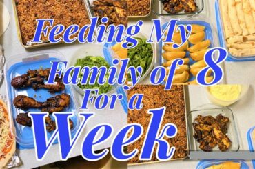 Weekly Freezer Healthy Weakly Meal Prep For A Large Family of 8 | Easy Meal prep For Whole family