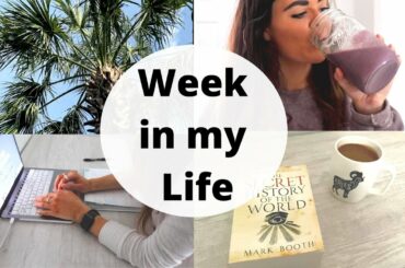 Week in my Life! // Quick & Healthy Lunches, Cleaning, Productive at Home