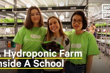 This Hydroponic Farm Provides Fresh Food for School Lunches | One Small Step | NowThis